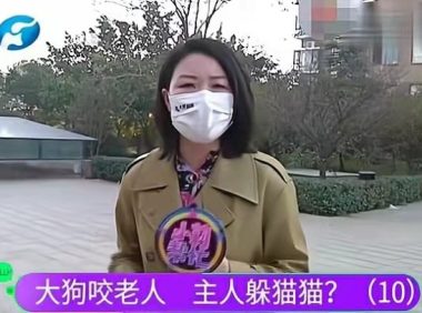 狗咬人事件后续：记者被气哭，当地部门进入调查，王新刚终于道歉