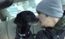 送外卖和救狗离开马路哪个更重要？这一小伙告诉说他的选择