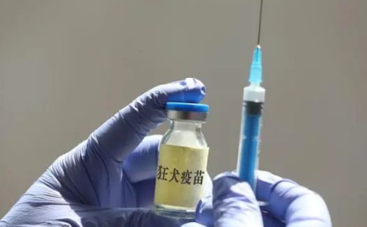 男生模仿电视剧用嘴吸女友被猫抓伤的手,医生告知都需打狂犬疫苗