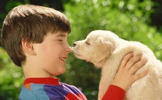 狗狗为什么喜欢舔人？并不只是爱你这么简单哟