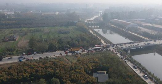 偷狗贩狗成为黑色产业链，从毒杀到餐桌，毒狗肉离我们有多远？