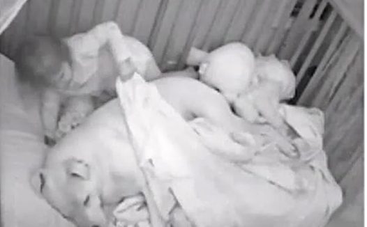 女孩经常在狗窝里醒来，父母心生困惑，查看监控后直言被暖到了