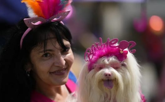 宠物狗时装秀登上里约狂欢节