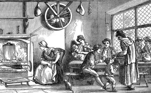 灭绝的转叉狗：“它是一台机器，而不是生物”