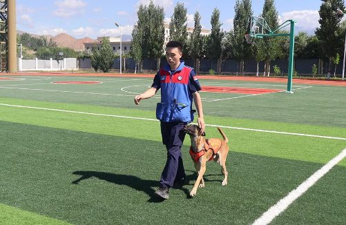 “蓝汪汪”养成计划丨搜救犬“麒麟”前来报到！