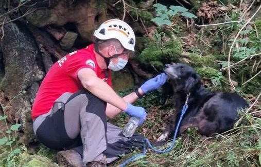 76岁老人不慎坠落山谷，狗狗忠心守护，还找人求救