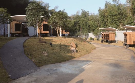 邀请市民领养、监督 龙湾推出犬只收容所固定“开放日”