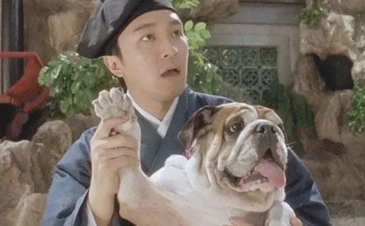 不同的累计票房神话传说星爷，谢谢周星驰让那麼很多人了解了斗牛犬