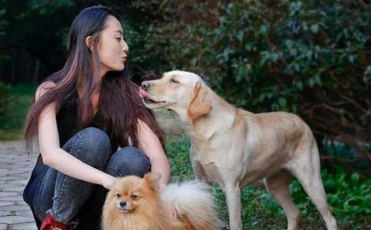 俗语“喂狗别喂饱”,其实下半句更发人深思,都是先人的逆耳忠告