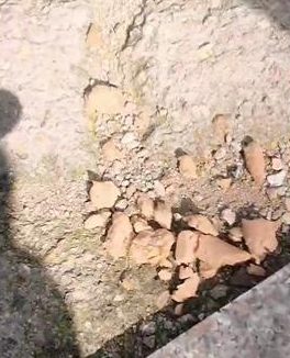 吃了“断肠散”?青岛一小区十几只宠物犬疑遭投毒死亡!警方已介入……