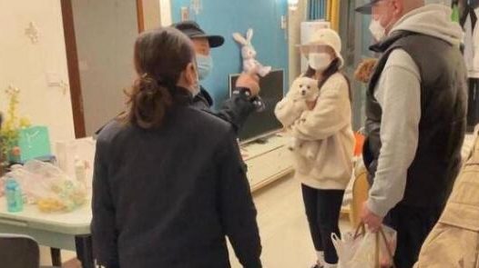 遛狗扑倒小孩,狗主人却称“狗比娃金贵”!警方:处罚狗主人1300元