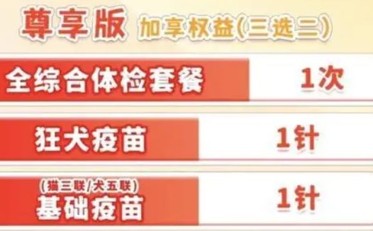 年轻人给宠物买保险:猫猫狗狗看病比人贵