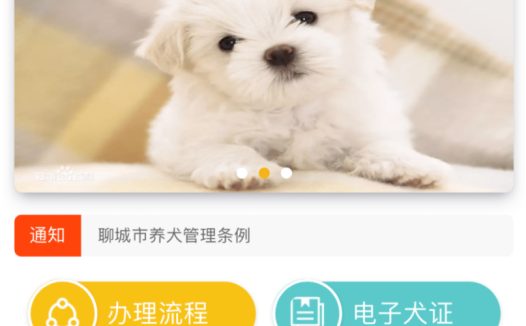 聊城上线 “电子犬证”,开始对养犬进行信息化管理