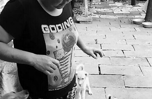 女子21年来凭一己之力收养被人遗弃的200多只流浪猫狗