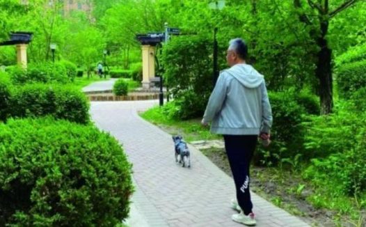 新养犬条例下月实施 再不牵好狗链子你要摊事了