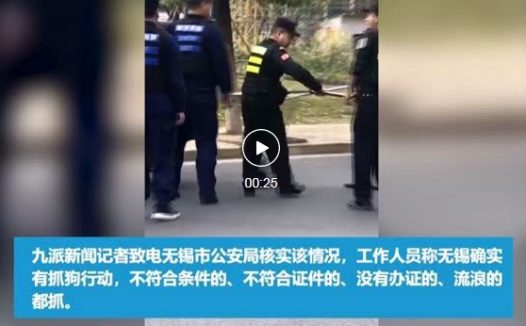 “中国打狗热”:比流浪动物可怕的是无知,比无知更可怕的是人心!