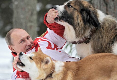 女孩虽家境贫寒但渴望养狗 普京亲自给女孩送狗