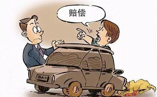 遛狗不拴绳,昆明一宠物狗被撞进汽车保险杠!派出所:狗主人全责并修车