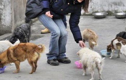 疯狗连咬十余人被猎杀 警方提醒散步避开宠物