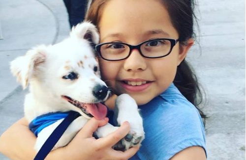 听不见的友情 女孩比手语和小白狗沟通