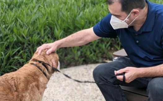 老狗与主人10年后重逢,它一眼就认出“爸爸”,眼里含满了泪水!