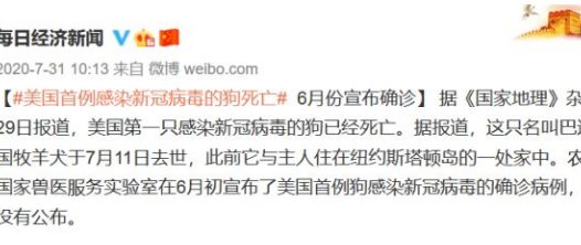 狗和孩子同时养可行吗?答案是不可以