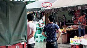 楼上掉花盆叉棍都弱爆了 这次居然有“狗从天降”