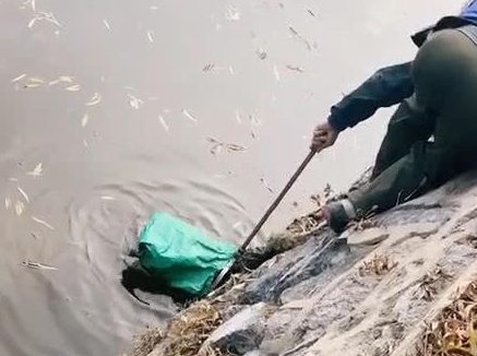 泰迪不小心掉进水里,大爷不顾危险出手相救,狗狗知恩图报