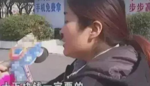 爱宠泰迪生理需求旺盛,做绝育死了,女子要医生给狗下跪