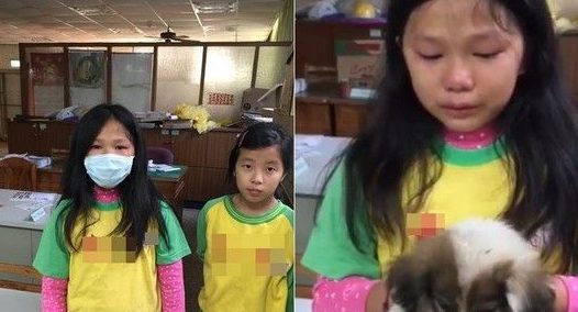 孤儿小狗无处可去 小学生心碎哭肿眼求有人收留