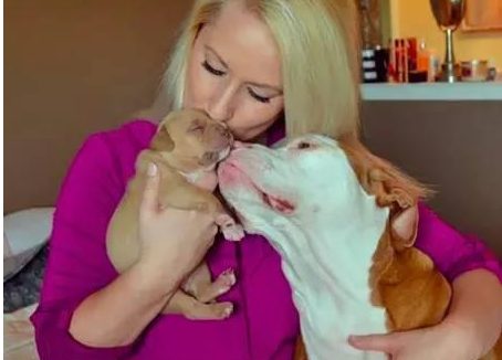 ​惺惺相惜超暖心 大比特犬哄小比特犬睡午觉 画面很美