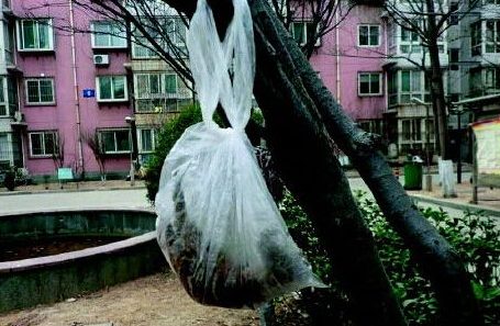 丧心病狂 一周内小区11条宠物狗被毒死