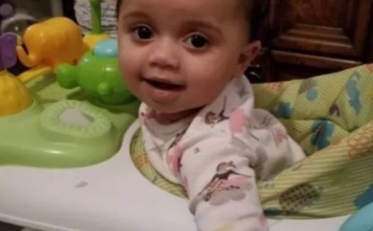 美国女童从出生就跟宠物狗朝夕相处，因靠近狗食碗竟被其护食咬死