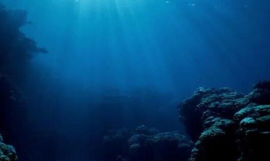 鲱鱼放屁致两国对立?牛顿的狗差点让物理学倒退?盘点6个动物导致的误会