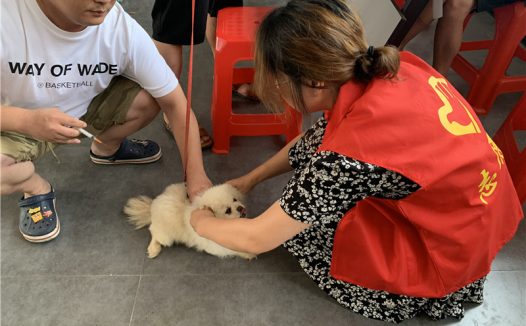 海门区三星镇:文明养犬“别掉链” “宠”爱有佳“她”行动