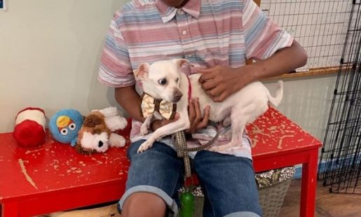 为协助收容所貓狗被領养,12岁男孩儿灵机一动,妙计神助功!