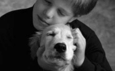 因天气炎热19岁男孩患上“心理中暑” 一脚踹死宠物小狗