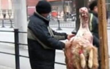 狗狗当街被剥皮 凶手行为令人发指