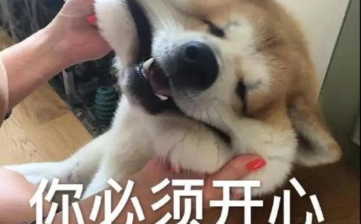 狗狗为什么老叹气呢？难道我亏待它了？