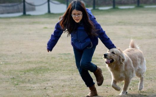 兽医告诉你,什么样的养狗方式是在毁狗?