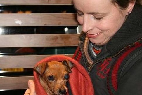 繁殖犬被关小笼子中12年终于得救 却失去双眼