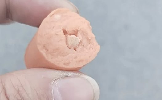 小区被人投掷毒火腿肠,一只狗和流浪猫中毒死亡,已是违法犯罪了