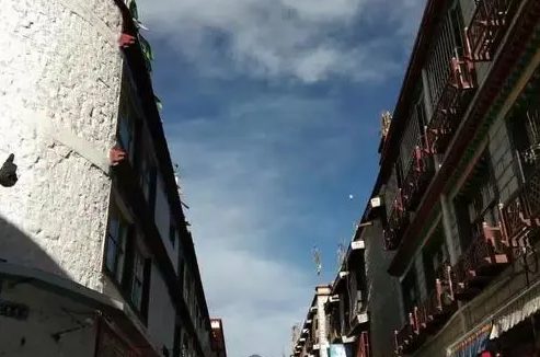 拉萨哪里有犬舍 | 拉萨市流浪犬收养中心三期工程即将开建