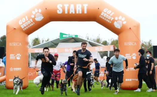 人犬障碍赛狗巴迪勇士赛在沪开赛