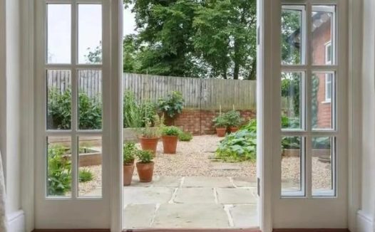 笑死!走失的小猎犬,意外参加比赛并喜提第三名