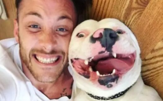 铲屎官在网络上晒了和自己小狗的照片，想不到警员居然找到了门