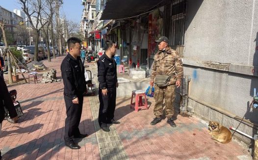 【创城】辽宁丹东在市区范围内组织开展违规遛犬治理专项行动