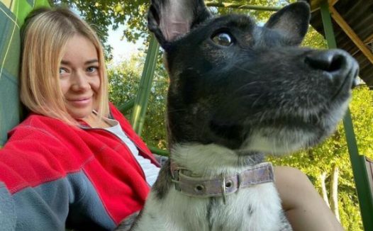 带狗狗坐飞机,意外失踪却无人告知,一周后在机场郊外找到