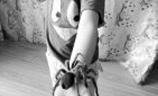 “重口味”饲主不养猫狗 偏爱蜥蜴蜘蛛