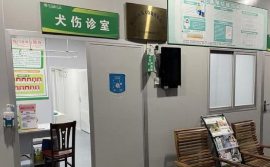 广西男童被狗抓伤,狗死亡后男童也死亡